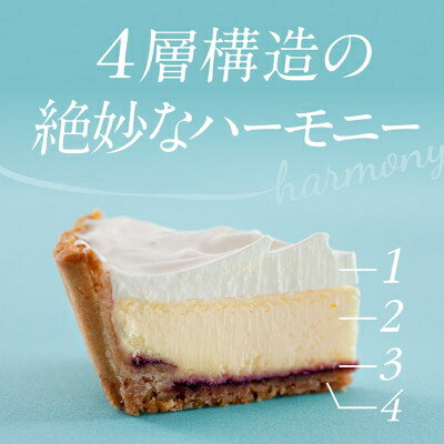 【ふるさと納税】ふらの雪どけチーズケーキセット(プレーン・ショコラ)_ チーズケーキ スイーツ プレーン ショコラ セット 洋菓子 富良野 北海道 人気 おすすめ 送料無料 ギフト 贈答 プレゼント 冷凍 記念日 2種 食べ比べ 【配送不可地域：離島】【1262490】 - 画像3