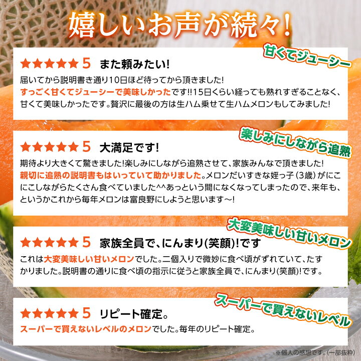 【ふるさと納税】【先行予約　2026年発送】富良野メロン赤肉　厳選　2玉(大玉) 　富良野市人気のおいしいフルーツ_ メロン ふらのメロン フルーツ 果物 くだもの 北海道 富良野市 富良野 ギフト プレゼント 人気 美味しい 赤肉 赤肉メロン 贈答 国産 産地直送【1257988】 サムネイル2