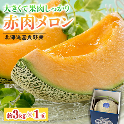 【2026年発送】北海道富良野産 赤肉メロン 1玉(約3kg)　富良野メロン_ メロン めろん フルーツ くだもの 果物 ふるーつ 富良野 北海道 富良野メロン 赤肉 国産 産地直送 ギフト 贈答 高糖度 人気 おすすめ 美味しい 1玉 ジューシー 甘い 【1520602】