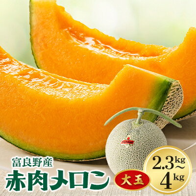 メロン(1玉/2玉)【G1398748】