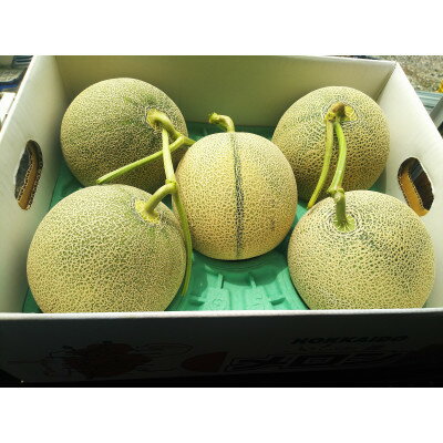 【ふるさと納税】【2026年発送】訳あり ご家庭用に　富良野メロン 赤肉8kg(4玉～6玉入り)【1408201】 サムネイル2