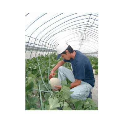 【ふるさと納税】【2026年発送】訳あり ご家庭用に　富良野メロン 赤肉8kg(4玉～6玉入り)【1408201】 サムネイル3