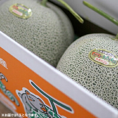 【ふるさと納税】【選べる数量】ヒグマのおくりもの　富良野メロン(赤肉)1玉計2.0kg以上/2玉計3.2kg以上_ メロン めろん 富良野メロン 赤肉 赤肉メロン 北海道 富良野産 果物 くだもの フルーツ デザート 甘い 国産 産直 産地直送 ギフト プレゼント 送料無料 【G1519706】 サムネイル3