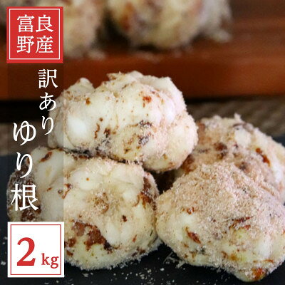 2026年秋発送開始 北海道富良野産　訳あり　ゆり根　2kg【1550084】