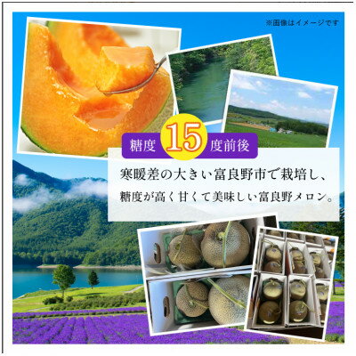 【ふるさと納税】2026年先行予約　【訳あり】厳選糖度15度前後 北海道富良野産メロン 1.6kg×1玉【1570118】 サムネイル2