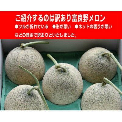 【ふるさと納税】2026年先行予約　【訳あり】厳選糖度15度前後 北海道富良野産メロン 1.6kg×1玉【1570118】 サムネイル3