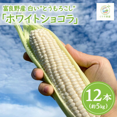 【2026年発送】北海道富良野産白いとうもろこし「ホワイトショコラ」12本(約5kg)【配送不可地域：離島】【1576599】