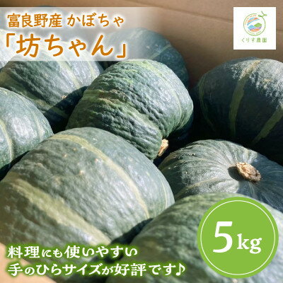 【2026年発送】北海道富良野産かぼちゃ「坊ちゃん」5kg ※手のひらサイズが好評です!【1576617】