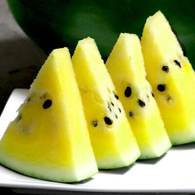 【ふるさと納税】2026年先行予約　ふらの クリームスイカ(イエロー) 5kg以上 1玉【配送不可地域：離島】【1598505】 サムネイル2