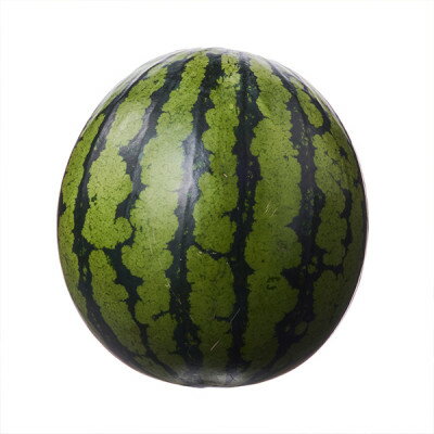 【ふるさと納税】2026年先行予約　ふらの クリームスイカ(イエロー) 5kg以上 1玉【配送不可地域：離島】【1598505】 サムネイル3