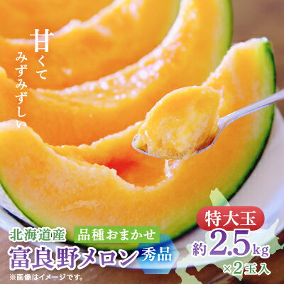 【2026年発送　先行予約】富良野メロン(赤肉) 秀品2玉 計5kg～_ メロン 富良野 北海道 ふらのメロン 赤肉 2玉 フルーツ 果物 くだもの 人気 おすすめ 送料無料 贈答 ギフト 【1614059】