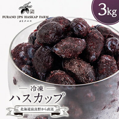 冷凍ハスカップ　3kg_ ハスカップ 果物 フルーツ ベリー くだもの 冷凍 新鮮 農家直送 北海道 富良野 人気 おすすめ 送料無料 【配送不可地域：離島】【1617014】