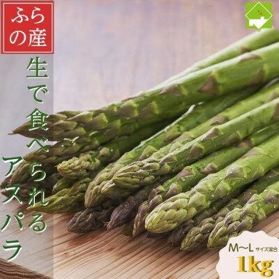 2026年先行予約　「生」で食べられる!北海道富良野産 グリーンアスパラ 1kg(M～Lサイズ混合)【配送不可地域：離島】【1624024】