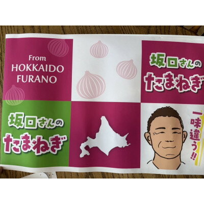 【ふるさと納税】【2026年9月から順次発送】坂口農産　玉ねぎ　20kg【配送不可地域：離島・沖縄県】【1629672】 - 画像3