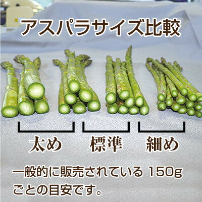 【ふるさと納税】【選べるサイズ/S～M(細め)～】【先行予約】【2026年発送】富良野産アスパラ1kg_ アスパラガス 野菜 アスパラ 富良野 北海道 人気 おすすめ 送料無料 贈答 ギフト 冷蔵 産地直送 産直 1kg 細め 【配送不可地域：離島】【G1632454】 - 画像2