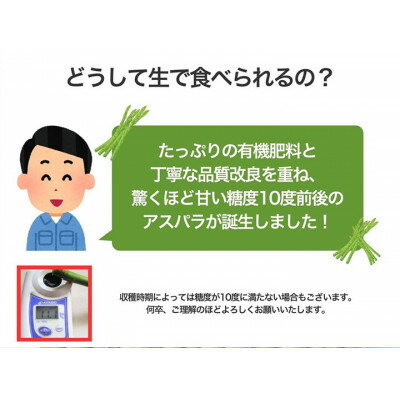 【ふるさと納税】【500g～3kg】2026年先行予約「生」で食べられる富良野産グリーンアスパラ(S～Lサイズ混合)_ 野菜 アスパラ グリーンアスパラ 富良野 北海道 朝獲れ 産直 生 人気 おすすめ 送料無料 冷蔵 【配送不可地域：離島】【G1633261】 - 画像3