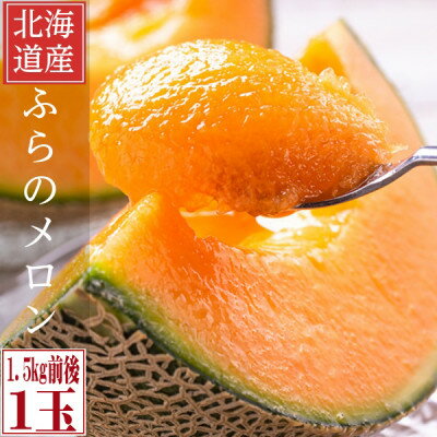 2026年先行予約 糖度15度前後 富良野メロン 2Lサイズ (1.5kg前後) 1玉入_ メロン フルーツ 果物 くだもの 富良野 北海道 人気 おすすめ 送料無料 贈答 ギフト 濃厚 高糖度 1玉 【1635250】