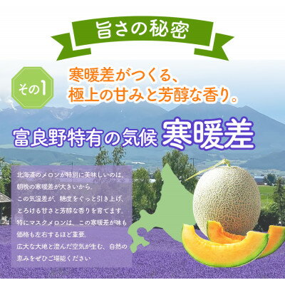 【ふるさと納税】2026年先行予約 糖度15度前後 富良野メロン 2Lサイズ (1.5kg前後) 1玉入_ メロン フルーツ 果物 くだもの 富良野 北海道 人気 おすすめ 送料無料 贈答 ギフト 濃厚 高糖度 1玉 【1635250】 サムネイル3