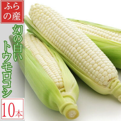 26年先行予約　早採り ハウス栽培　幻の白いトウモロコシ　ピュアホワイト　10本【配送不可地域：離島】【1642176】