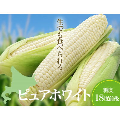 【ふるさと納税】26年先行予約　早採り ハウス栽培　幻の白いトウモロコシ　ピュアホワイト　10本【配送不可地域：離島】【1642176】 - 画像2