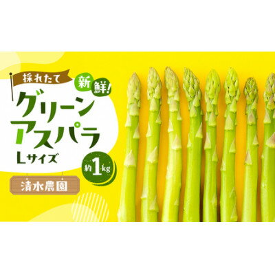 2026年先行予約　ふらの産グリーンアスパラLサイズ計1kg【配送不可地域：離島】【1675382】