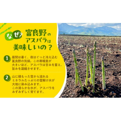 【ふるさと納税】2026年先行予約　ふらの産グリーンアスパラLサイズ計1kg【配送不可地域：離島】【1675382】 - 画像2