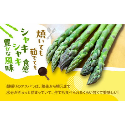 【ふるさと納税】2026年先行予約　ふらの産グリーンアスパラLサイズ計1kg【配送不可地域：離島】【1675382】 - 画像3