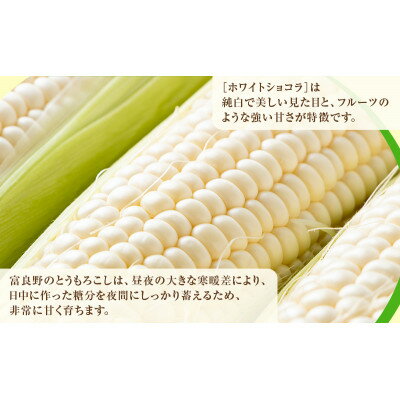 【ふるさと納税】【2026年先行予約】富良野産ホワイトとうもろこし　ホワイトショコラ計20本【配送不可地域：離島】【1678461】 - 画像2