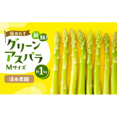 【2026年先行予約】ふらの産グリーンアスパラ　Mサイズ(1本:13g〜20g程度)×1kg【配送不可地域：離島】【1678467】