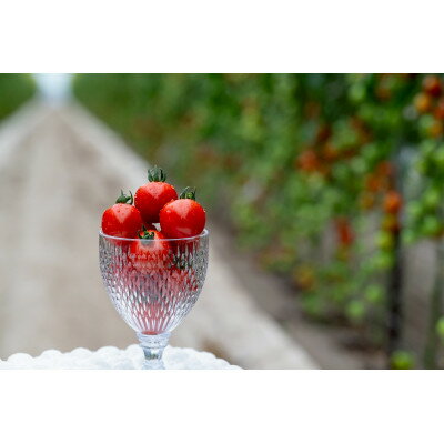 【ふるさと納税】【2026年発送】清水farm【ミニトマト2kg】(品種:キャロル10)【1687595】 - 画像3