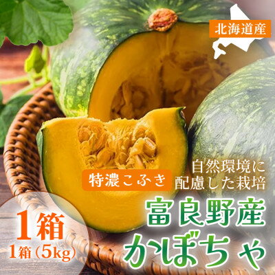 【秋の味覚 北海道産 かぼちゃ】特濃こふき 無選別 5kg×1箱|北海道富良野市 9～10月発送【1705334】