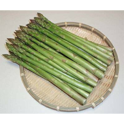 【ふるさと納税】北海道富良野産アスパラ　L　1kg40本前後【配送不可地域：離島】【1710879】 - 画像3