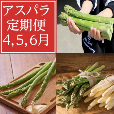 2026年度分　【発送月固定定期便】4月・5月・6月北海道富良野産　アスパラ定期便全3回_ アスパラ 定期便 野菜 アスパラガス グリーン ホワイト 北海道 富良野産 全3回 やさい 生 ギフト 国産 産直 送料無料 【配送不可地域：離島】【4056330】