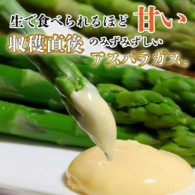 【ふるさと納税】2026年度分　【発送月固定定期便】4月・5月・6月北海道富良野産　アスパラ定期便全3回_ アスパラ 定期便 野菜 アスパラガス グリーン ホワイト 北海道 富良野産 全3回 やさい 生 ギフト 国産 産直 送料無料 【配送不可地域：離島】【4056330】 - 画像2