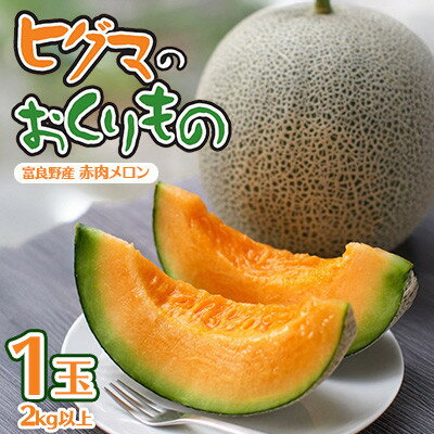 【発送月固定定期便】ヒグマのおくりもの 赤肉メロン・ヒグマのごちそう すいか 各1玉全2回_ メロン 西瓜 すいか 定期便 赤肉 フルーツ くだもの 果物 人気 おすすめ 送料無料 北海道 富良野 【配送不可地域：離島】【4068414】