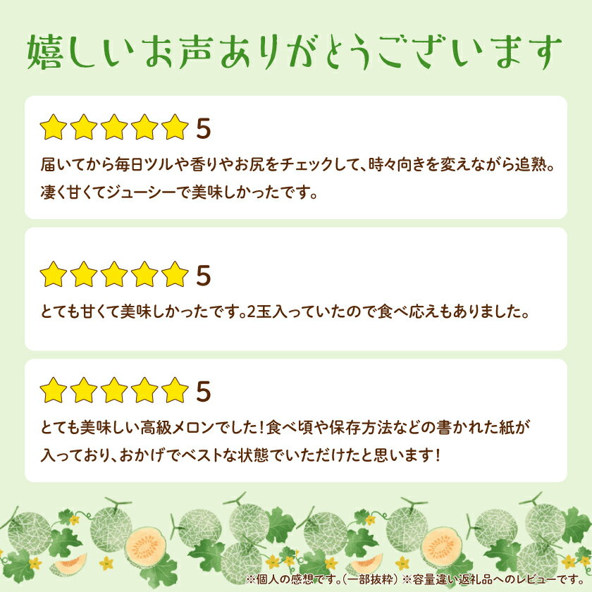 【ふるさと納税】富良野メロン　秀品　赤肉(2.5kg/3.2kg/4kg)_ メロン ふらのメロン フルーツ 果物 くだもの 北海道 富良野市 富良野 人気 美味しい ギフト プレゼント 【G1356906】 - 画像2