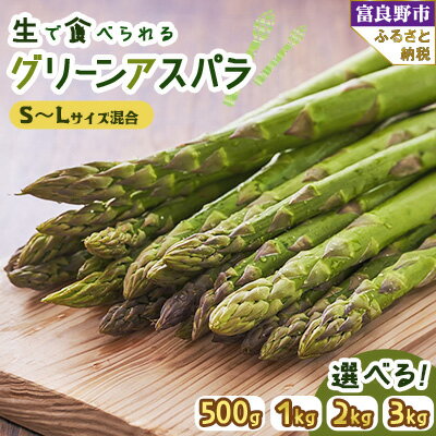 【500g～3kg】2026年先行予約「生」で食べられる富良野産グリーンアスパラ(S～Lサイズ混合)_ 野菜 アスパラ グリーンアスパラ 富良野 北海道 朝獲れ 産直 生 人気 おすすめ 送料無料 冷蔵 【配送不可地域：離島】【G1633261】