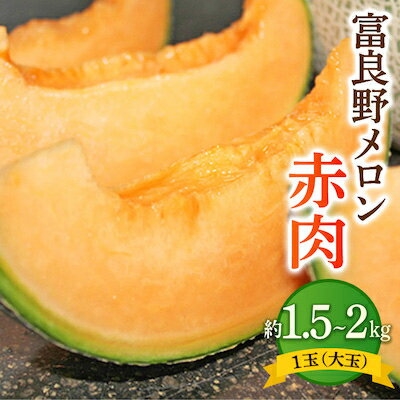 【先行受付　2026年発送】富良野メロン赤肉　1玉(大玉)_ メロン 富良野メロン 赤肉 赤肉メロン 果物 くだもの 北海道 富良野 ギフト プレゼント 贈り物 ふるさと 【1260650】