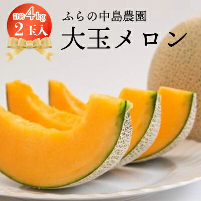 【2026年発送】富良野メロン　大玉　2玉入り【1266461】