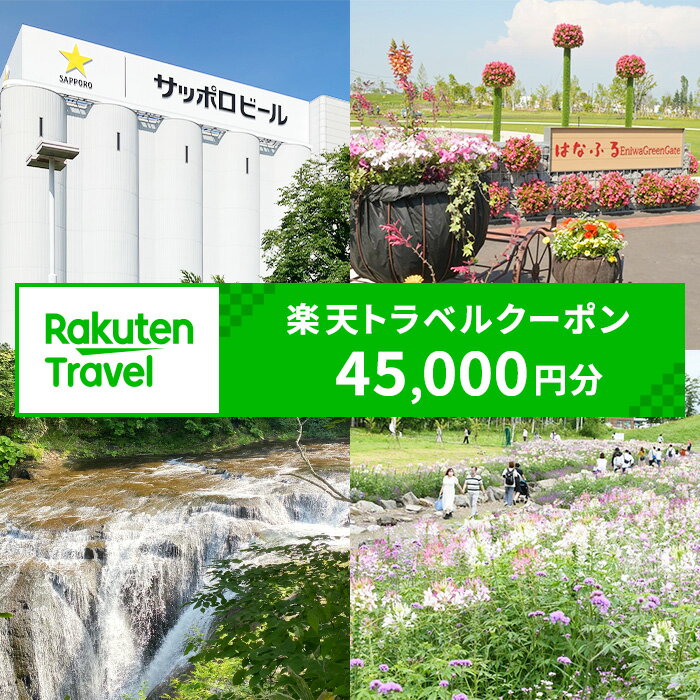 北海道恵庭市の対象施設で使える 楽天トラベルクーポン 寄付額150,000円(クーポン45,000円)　【970015】