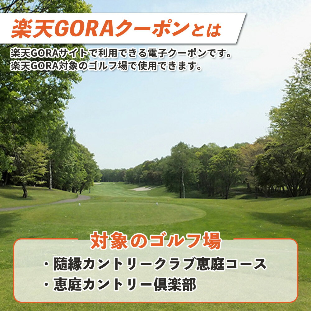 【ふるさと納税】北海道恵庭市の対象ゴルフ場で使える楽天GORAクーポン 寄付額30,000円【980003】 - 画像2