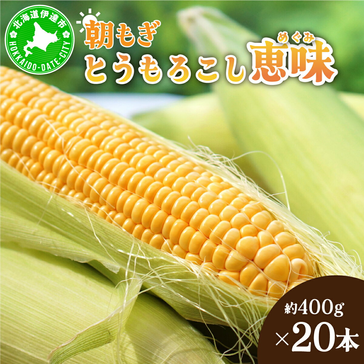 ＜2026年先行予約＞北海道産 朝もぎ とうもろこし 恵味 L-LLサイズ 約400g×20本 スイートコーン ゴールドコーン トウモロコシ とうきび コーン 旬 完熟 野菜 甘い おやつ 産地直送 お取り寄せ 北海道 送料無料 伊達 55250482