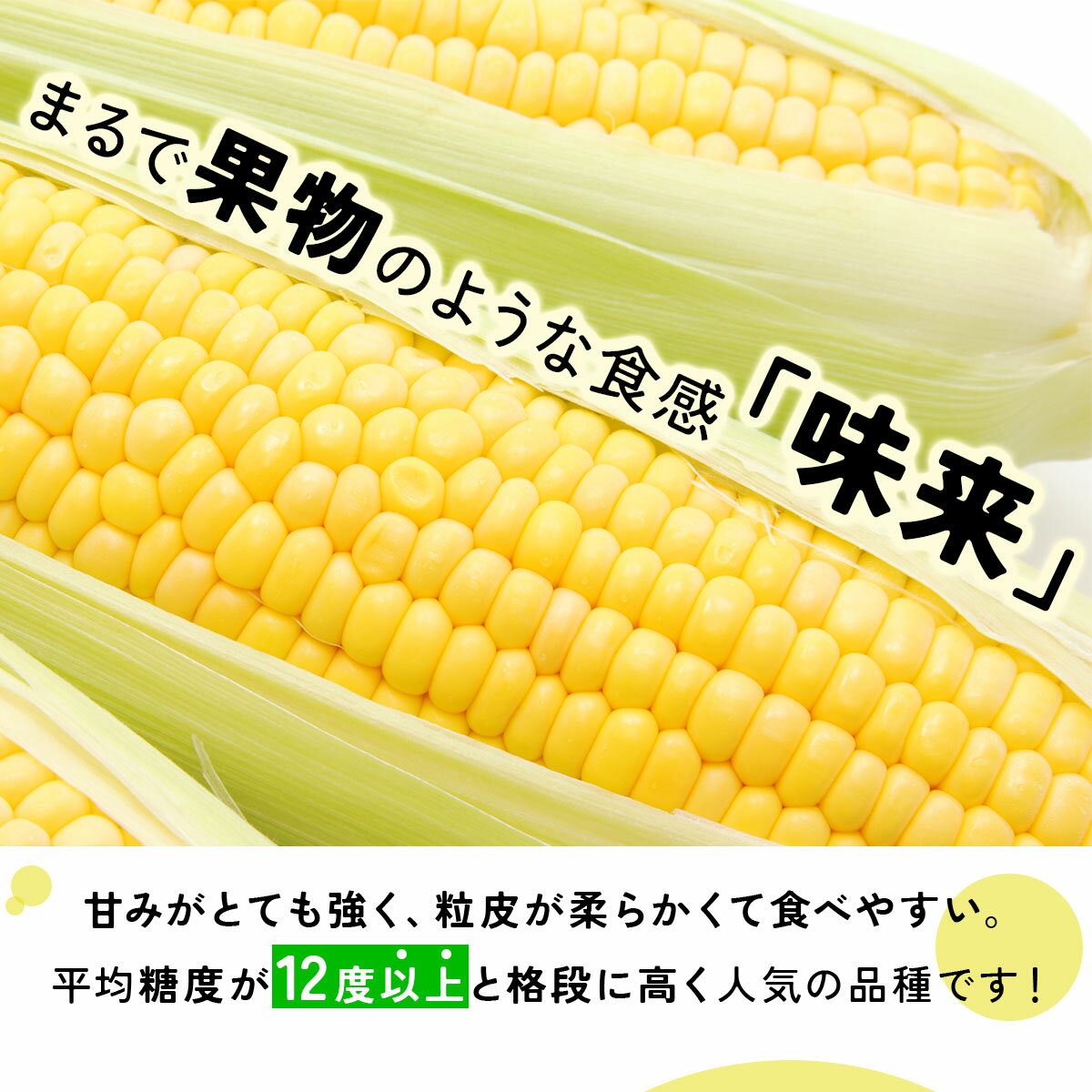 【ふるさと納税】＜先行予約＞【2026年発送】北海道産 とうもろこし 味来 L～LLサイズ 20本入り【55250823】トウモロコシ みらい ミライ とうきび スイート イエロー コーン 旬 新鮮 朝もぎ 農作物 甘い お取り寄せ 産地直送 送料無料 - 画像2