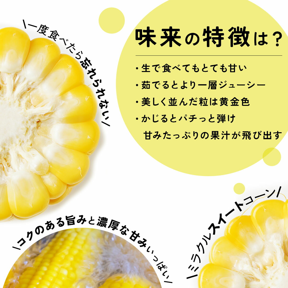 【ふるさと納税】＜先行予約＞【2026年発送】北海道産 とうもろこし 味来 L～LLサイズ 20本入り【55250823】トウモロコシ みらい ミライ とうきび スイート イエロー コーン 旬 新鮮 朝もぎ 農作物 甘い お取り寄せ 産地直送 送料無料 - 画像3