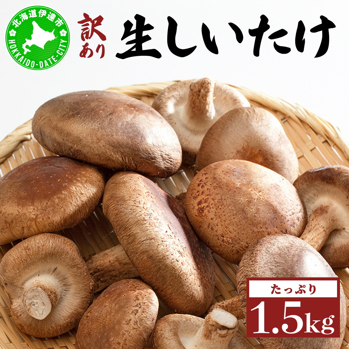 訳あり 湘南しいたけ 生 しいたけ 1.5kg 規格外 訳アリ しいたけ シイタケ 椎茸 きのこ キノコ ヘルシー 栄養 肉厚 ジューシー フレッシュ 国産 産地直送 アレンジ BBQ バーベキュー 北海道 伊達市【農福連携】