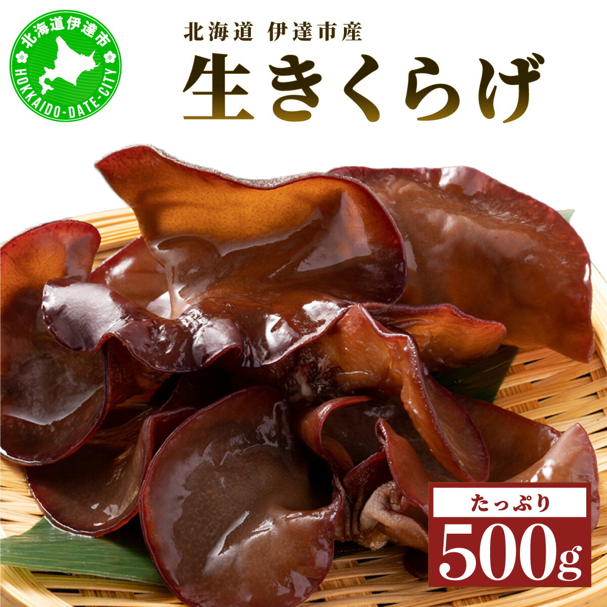 湘南しいたけ 生 きくらげ 500g きくらげ 木耳 キクラゲ 生 ぷりぷり プリプリ こりこり コリコリ 栄養 ヘルシー ダイエット 中華 アレンジ スープ サラダ 新鮮 きのこ キノコ 弾力【農福連携】