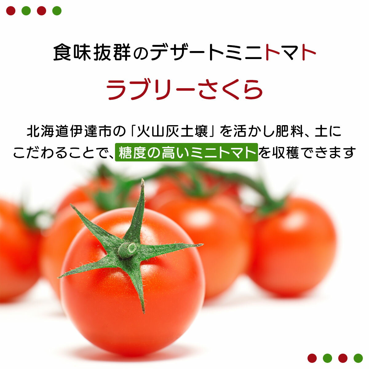 【ふるさと納税】【 2026年発送 】先行予約 北海道 伊達市 ミニトマト ラブリーさくら 3kg 【オンライン決済限定】55250961 - 画像2