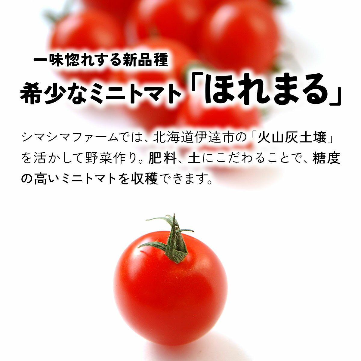 【ふるさと納税】【 2026年発送 】 先行予約 北海道 伊達市 ミニトマト ほれまる 3kg 【オンライン決済限定】55250962 - 画像2