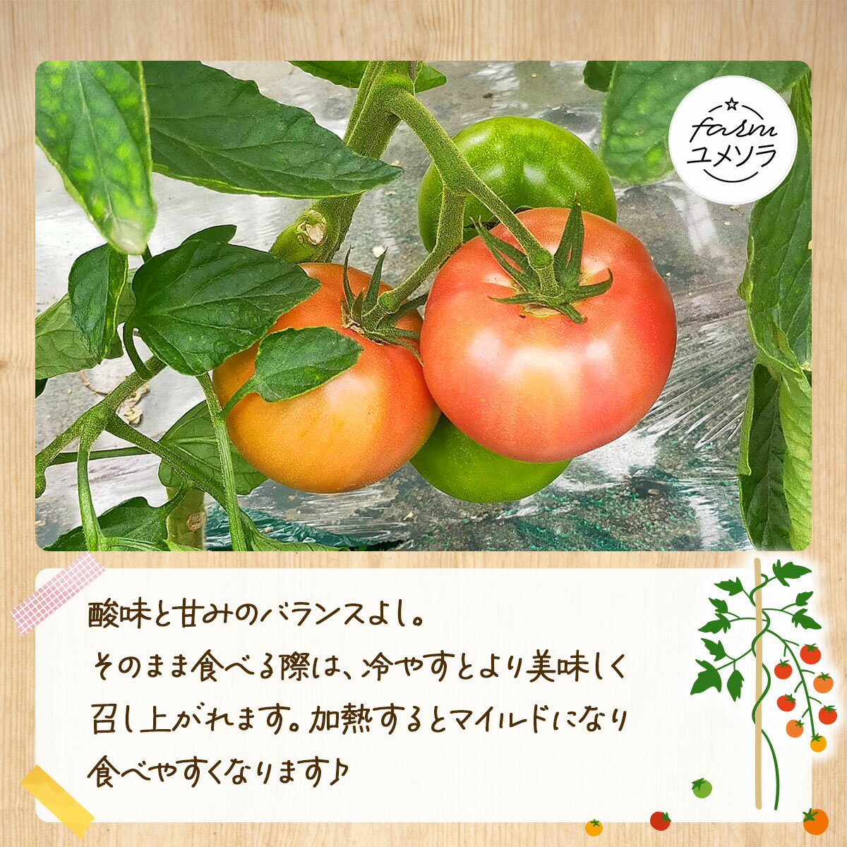 【ふるさと納税】◆2026年7月から順次出荷◆ farmユメソラ 大玉 トマト 約4kg【famy-001】 - 画像2