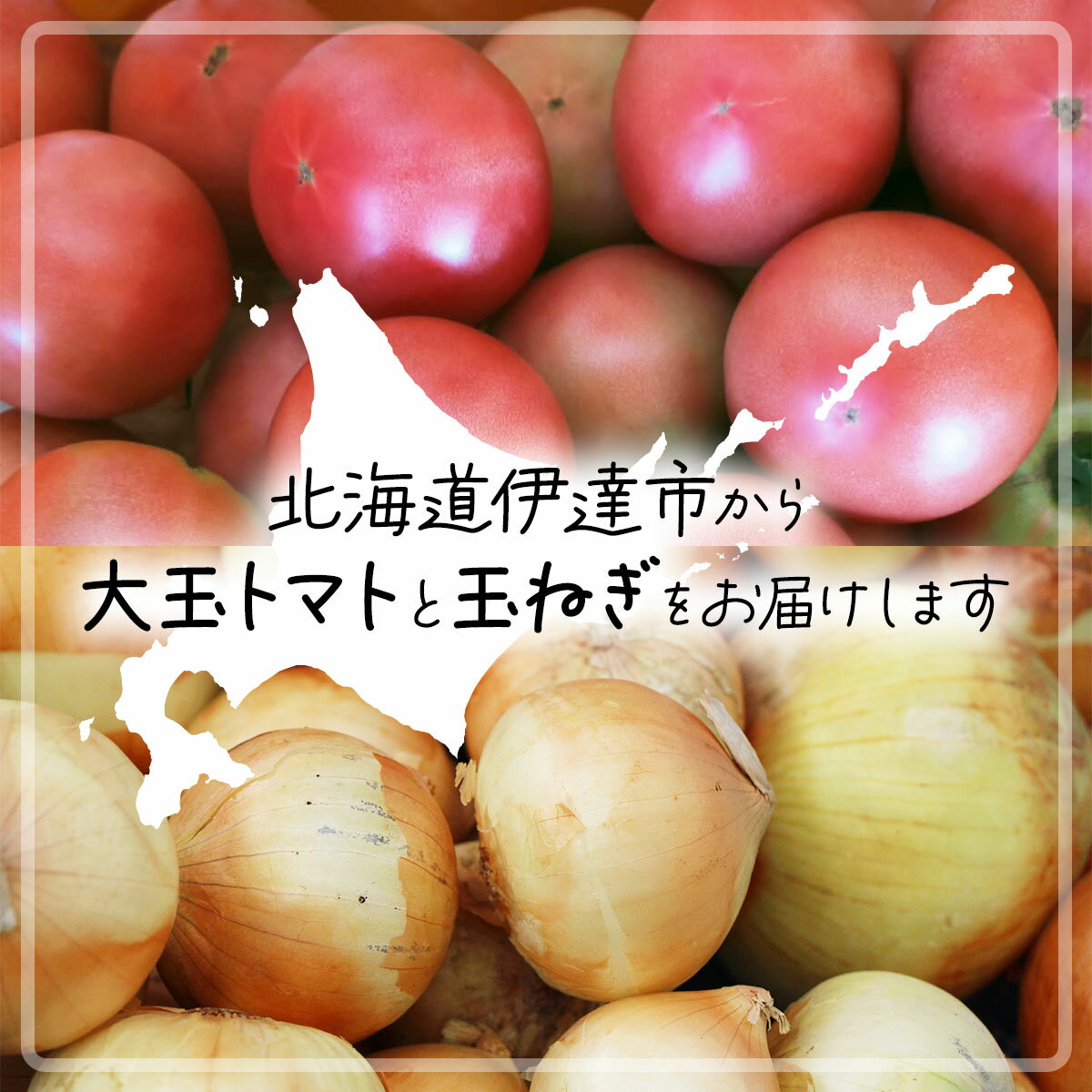 【ふるさと納税】◆2026年7月から順次出荷◆ farmユメソラ 大玉トマト＆玉ねぎセット 約5kg [famy-003] - 画像2